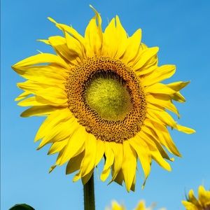 Meet your Posher, Erika